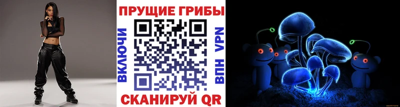 дарнет шоп  Шарья  KRAKEN онион  Галлюциногенные грибы мухоморы 
